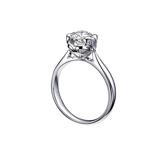 z6��������ʱ(�й�)�ٷ���վ