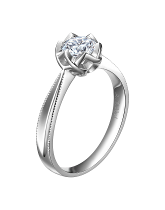 z6��������ʱ(�й�)�ٷ���վ