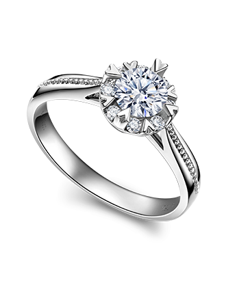 z6��������ʱ(�й�)�ٷ���վ