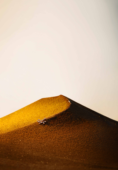 z6��������ʱ(�й�)�ٷ���վ