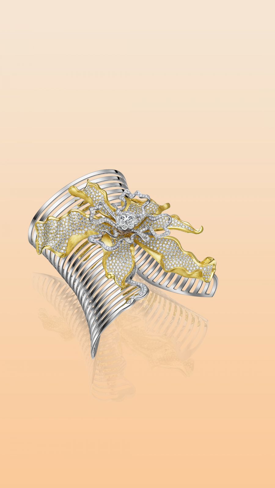 ����һ��