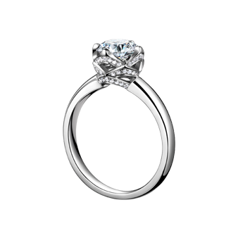 z6��������ʱ(�й�)�ٷ���վ��䡶���䡷