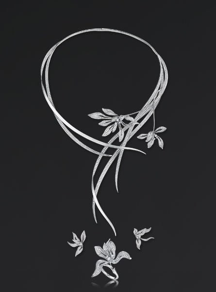 z6��������ʱ(�й�)�ٷ���վ�߼��鱦���չ�������