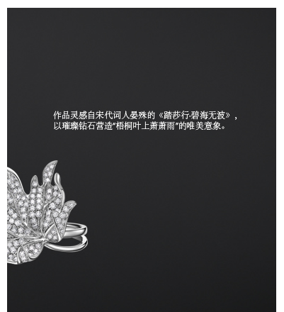 z6��������ʱ(�й�)�ٷ���վ�߼��鱦��ͩϸ��