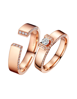 2019���¶Խ�С����