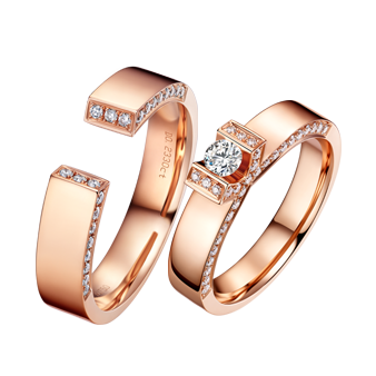 2019���¶Խ�С����