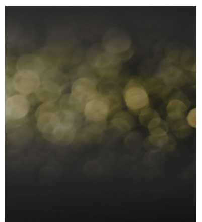 z6��������ʱ(�й�)�ٷ���վ�߼��鱦��ʢ�����ѡ�