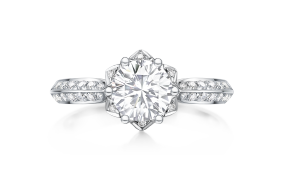 z6��������ʱ(�й�)�ٷ���վ�����꡶������