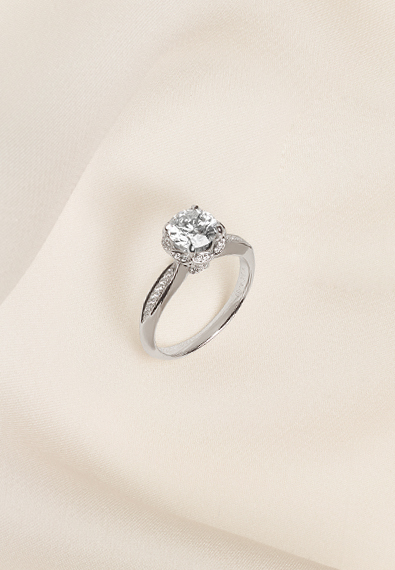 z6��������ʱ(�й�)�ٷ���վ�����꡶��ʡ�