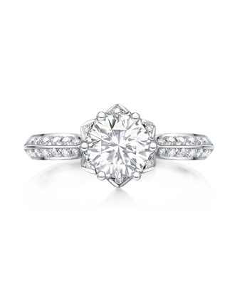 �����껨��