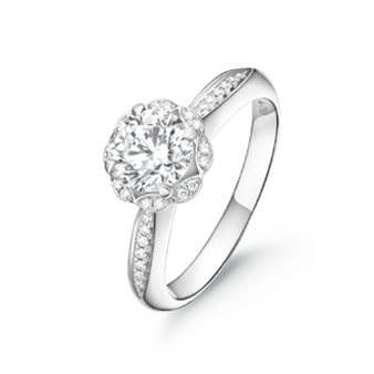 �����꾦��