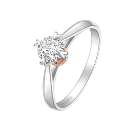 z6��������ʱ(�й�)�ٷ���վ