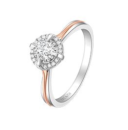 z6��������ʱ(�й�)�ٷ���վ