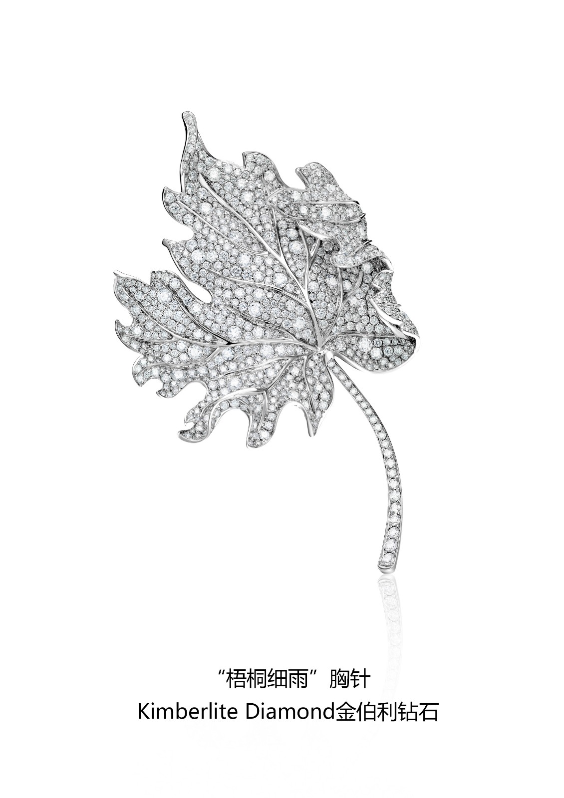 ��ͩϸ������