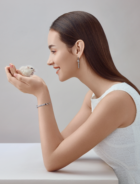 z6��������ʱ(�й�)�ٷ���վ��ϵ����Ȥ�鱦