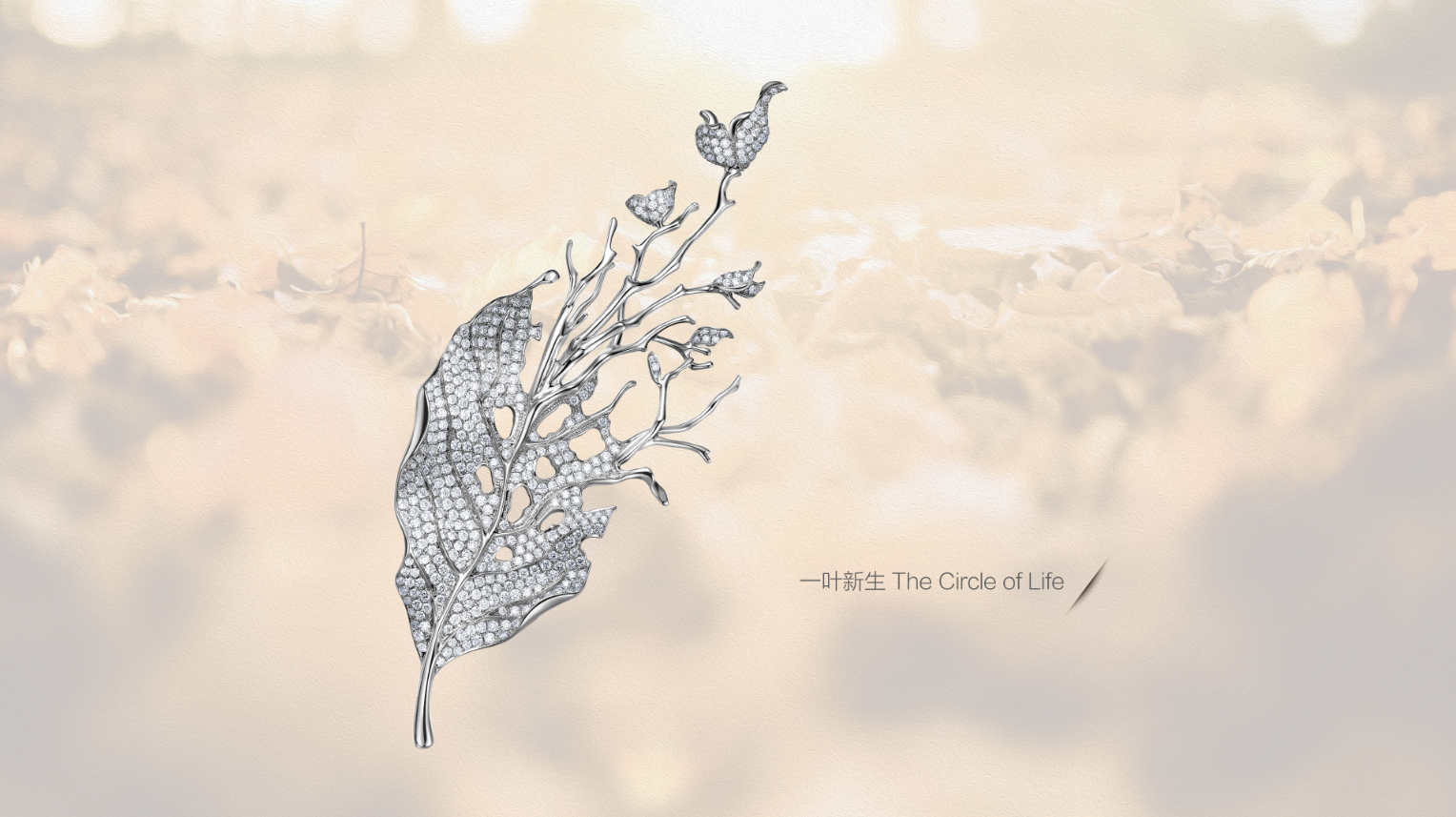 ¡¶Ò»Ò¶ÐÂÉú¡·ÐØÕë ¡¶Ò»Ò¶ÐÂÉú¡·ÐØÕë