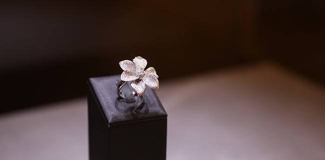 z6×ðÁú¡¤¿Ê±(Öйú)¹Ù·½ÍøÕ¾Ö¤ÊéÄÇÀï³öµÄ z6×ðÁú¡¤¿Ê±(Öйú)¹Ù·½ÍøÕ¾Ö¤ÊéÄÇÀï³öµÄ