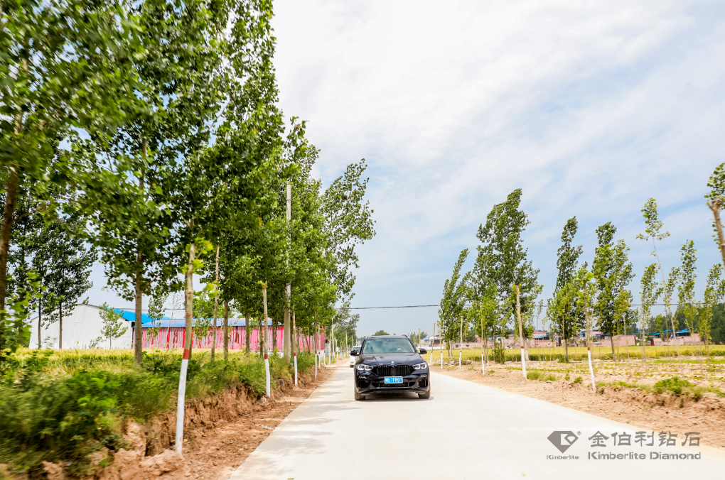 15897705497834225o8T.png 15897705497834225o8T.png